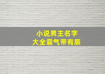 小说男主名字大全霸气带有辰