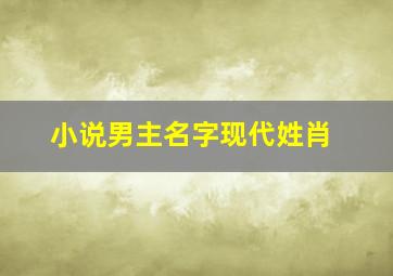 小说男主名字现代姓肖