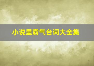 小说里霸气台词大全集