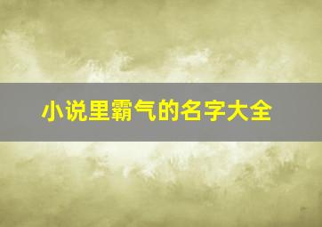 小说里霸气的名字大全