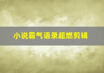 小说霸气语录超燃剪辑