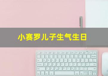 小赛罗儿子生气生日