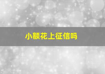 小额花上征信吗