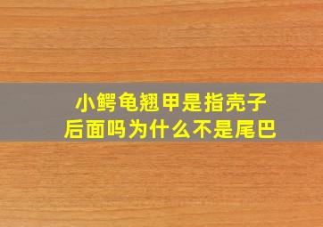 小鳄龟翘甲是指壳子后面吗为什么不是尾巴