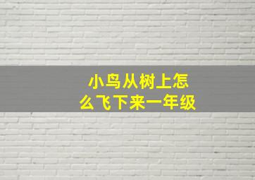 小鸟从树上怎么飞下来一年级