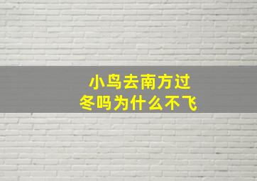 小鸟去南方过冬吗为什么不飞