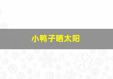 小鸭子晒太阳