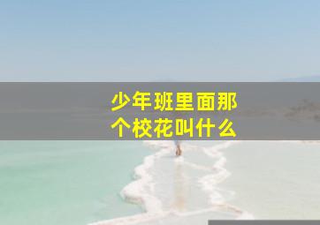 少年班里面那个校花叫什么