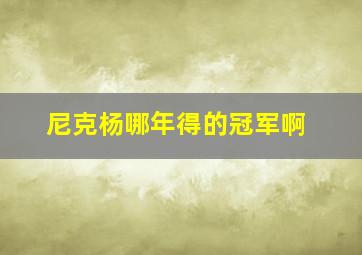 尼克杨哪年得的冠军啊