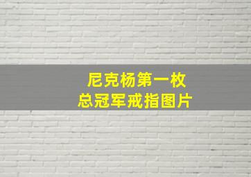 尼克杨第一枚总冠军戒指图片