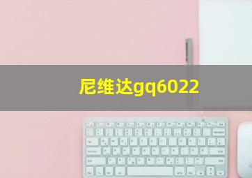 尼维达gq6022