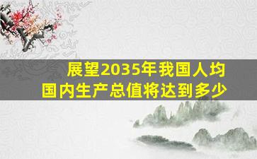 展望2035年我国人均国内生产总值将达到多少