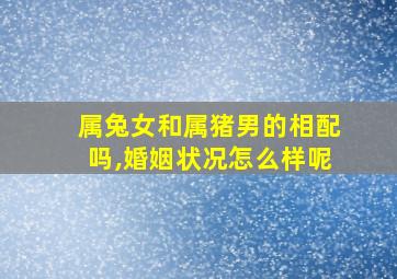 属兔女和属猪男的相配吗,婚姻状况怎么样呢