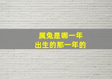 属兔是哪一年出生的那一年的