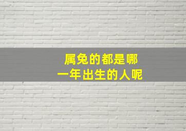 属兔的都是哪一年出生的人呢