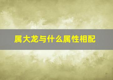 属大龙与什么属性相配