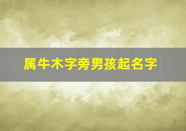 属牛木字旁男孩起名字