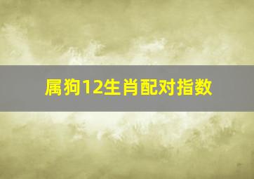 属狗12生肖配对指数