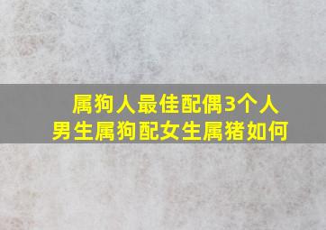 属狗人最佳配偶3个人男生属狗配女生属猪如何