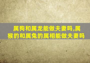 属狗和属龙能做夫妻吗,属猴的和属兔的属相能做夫妻吗