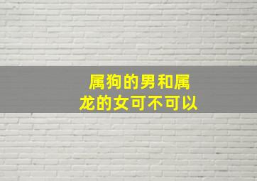 属狗的男和属龙的女可不可以