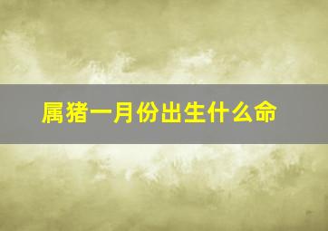 属猪一月份出生什么命