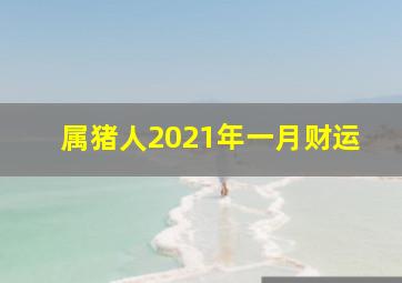 属猪人2021年一月财运