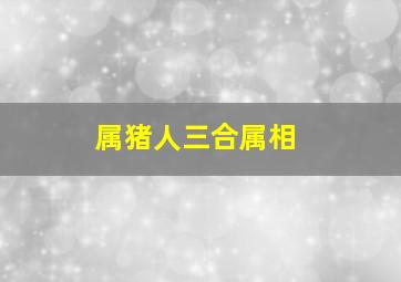 属猪人三合属相