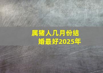 属猪人几月份结婚最好2025年