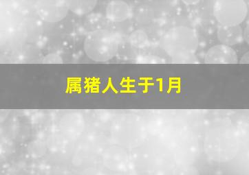 属猪人生于1月