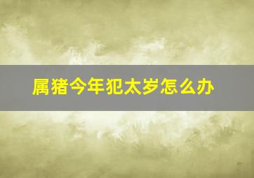 属猪今年犯太岁怎么办