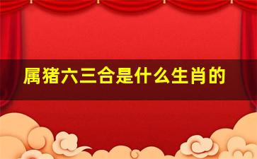 属猪六三合是什么生肖的