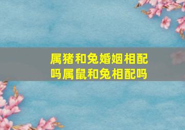 属猪和兔婚姻相配吗属鼠和兔相配吗