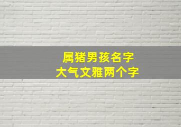 属猪男孩名字大气文雅两个字