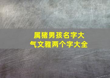 属猪男孩名字大气文雅两个字大全