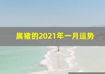 属猪的2021年一月运势