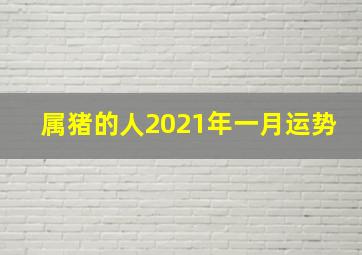 属猪的人2021年一月运势