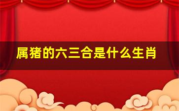 属猪的六三合是什么生肖