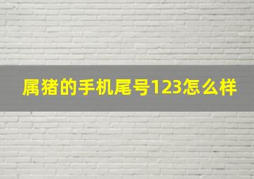 属猪的手机尾号123怎么样