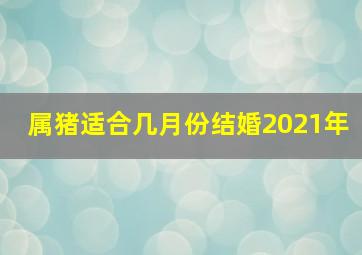 属猪适合几月份结婚2021年