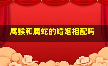 属猴和属蛇的婚姻相配吗