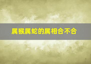 属猴属蛇的属相合不合