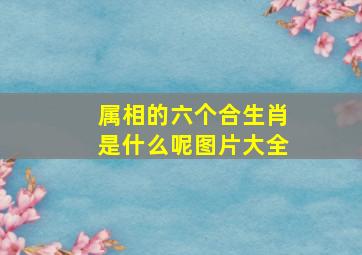 属相的六个合生肖是什么呢图片大全