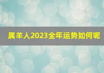 属羊人2023全年运势如何呢