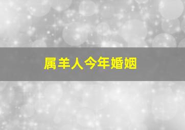 属羊人今年婚姻