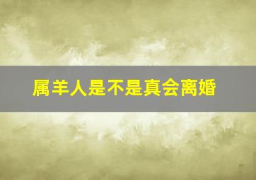 属羊人是不是真会离婚