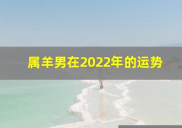 属羊男在2022年的运势