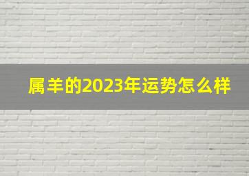 属羊的2023年运势怎么样