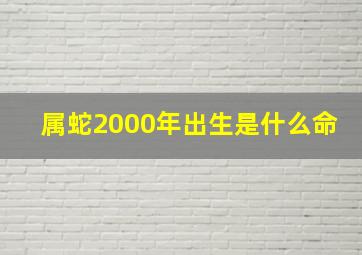 属蛇2000年出生是什么命