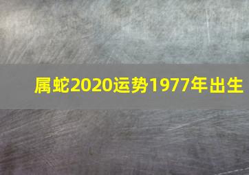 属蛇2020运势1977年出生